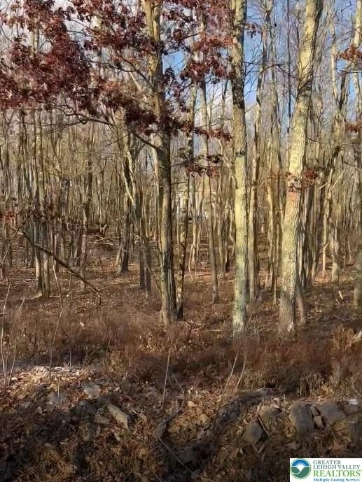 Land in Mt Pocahontas Subdivision