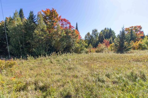 Land with Willoughby Lake View