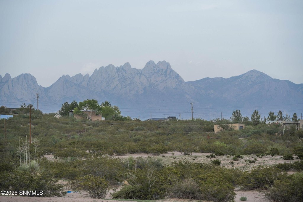 Picture 9