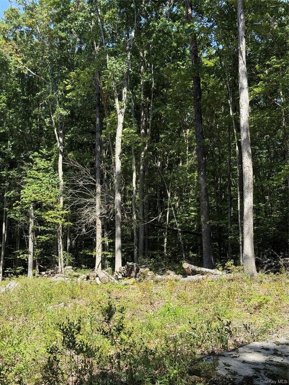 Picture 8
