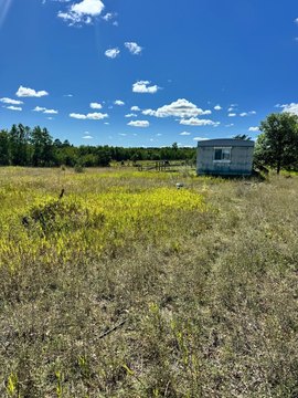 LAND - Nevis, MN