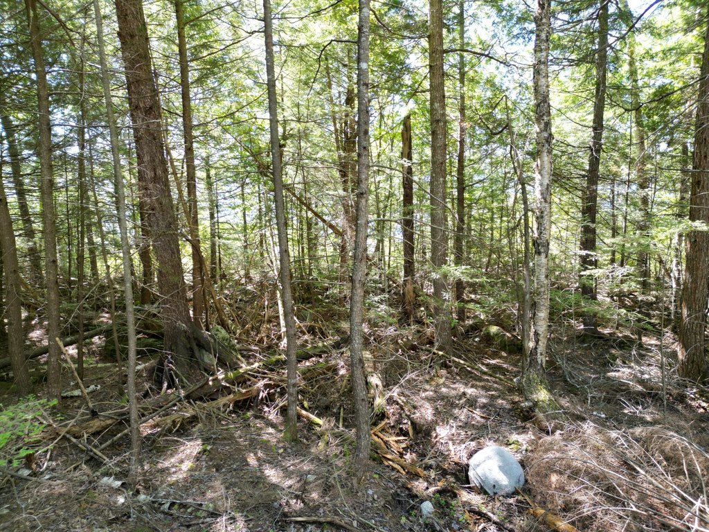 Picture 13