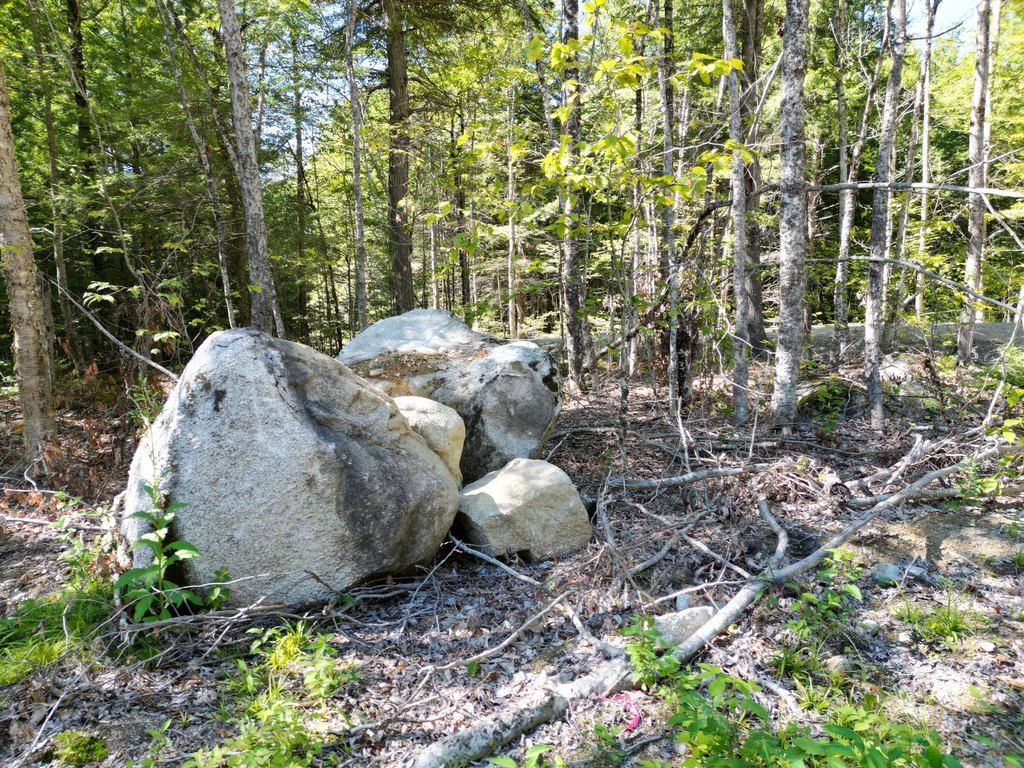 Picture 9