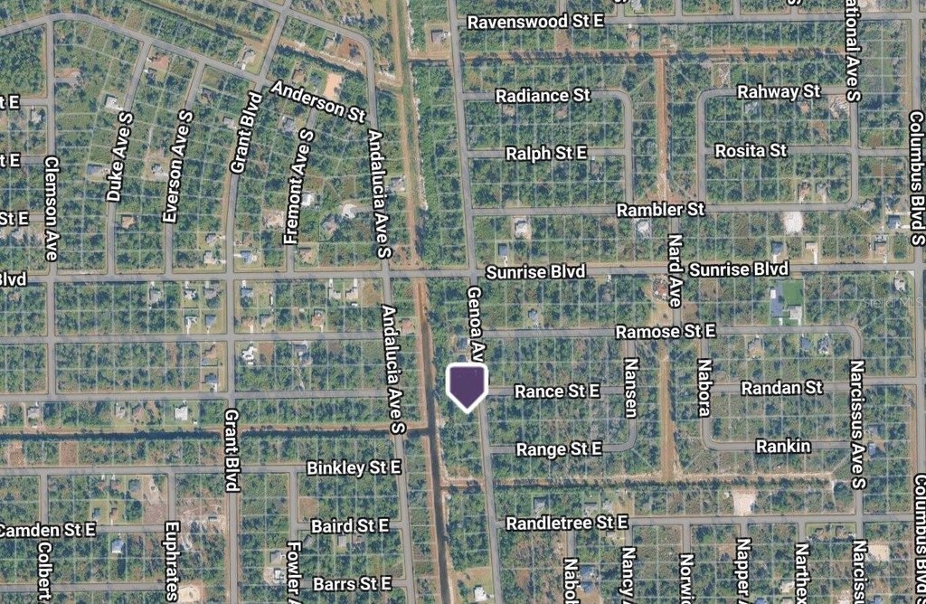 Picture 4