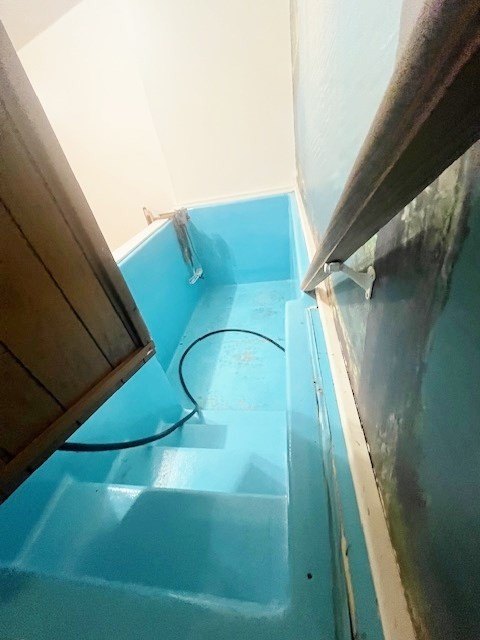Picture 13