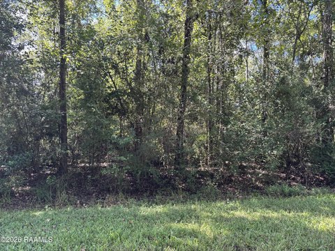 Land, Abbeville, LA