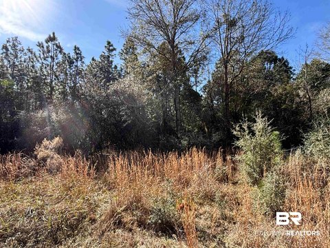 Recreational Hunting Land Parcel