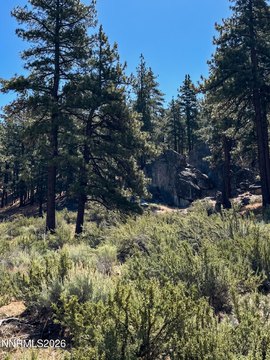 LAND - Carson City, NV