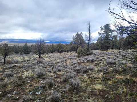Mountain-View Land Parcel