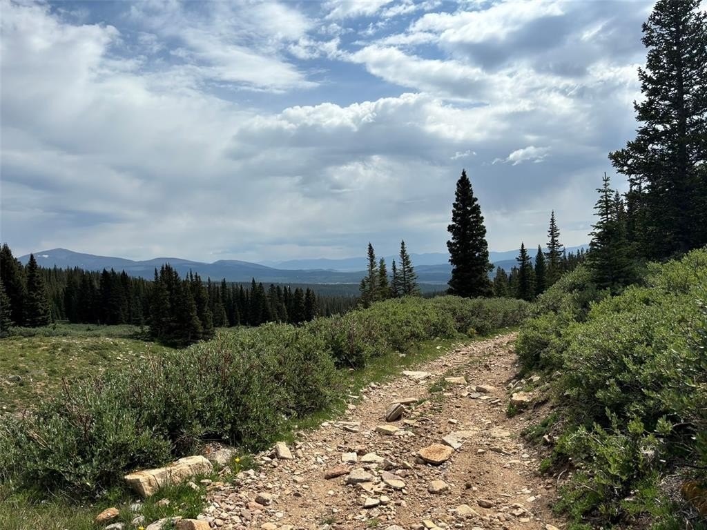 Picture 8