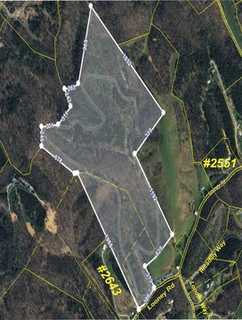 83.67 Acres Wooded Land