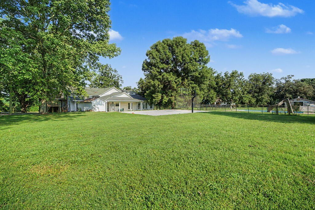 Picture 20