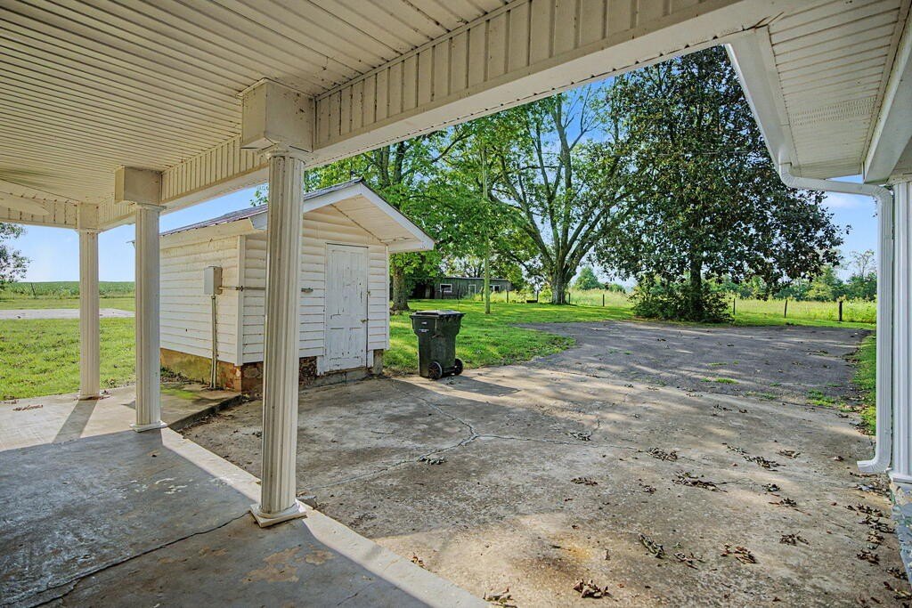 Picture 23