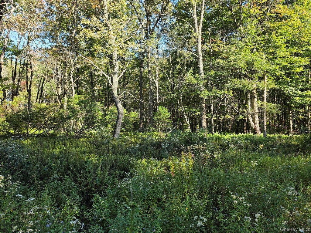 Picture 11