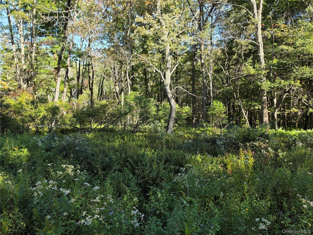Picture 25