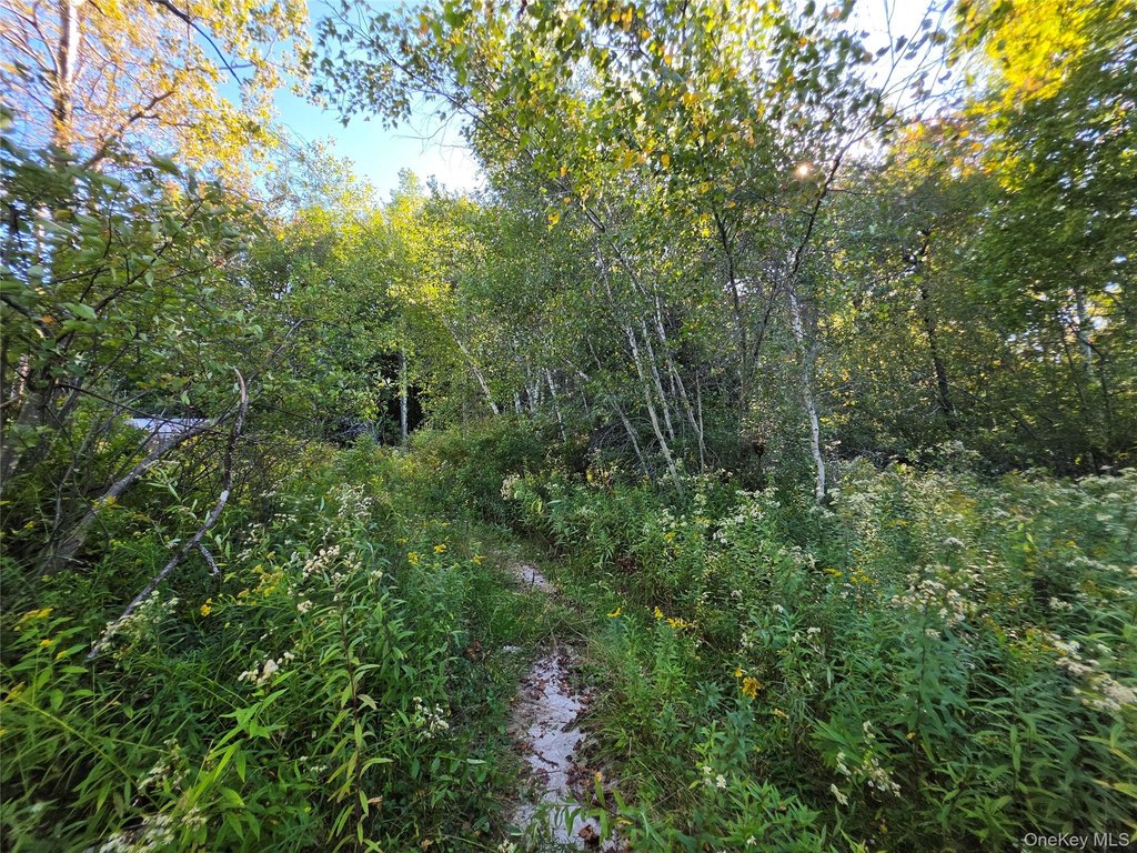 Picture 20