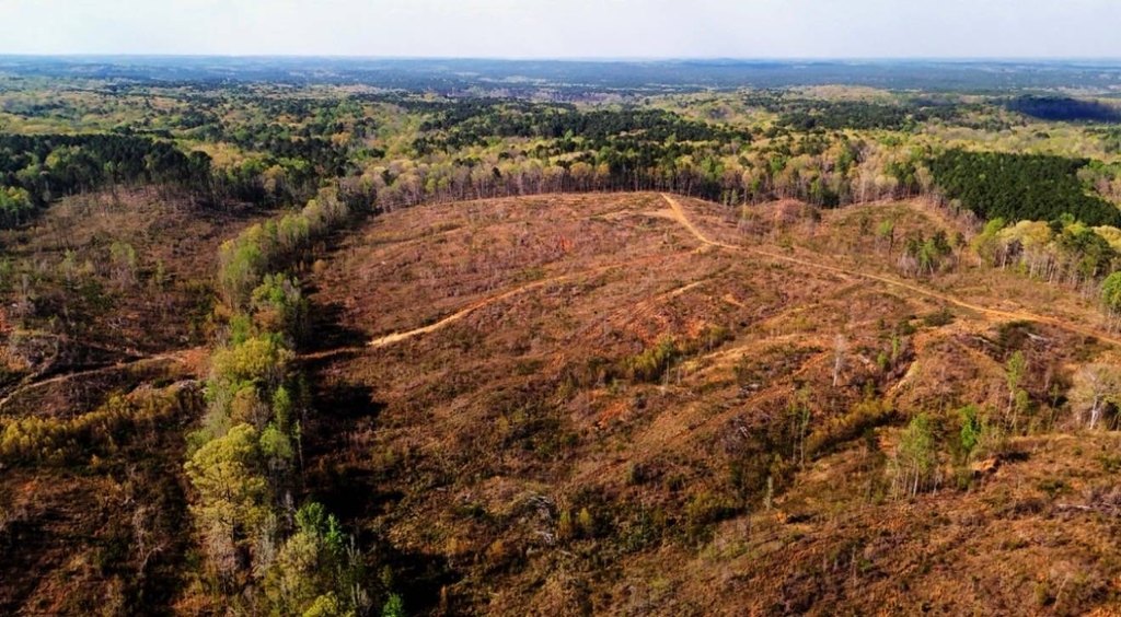 Picture 4