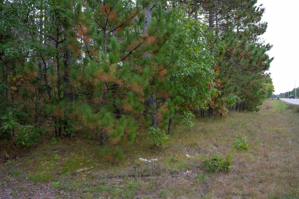 Picture 35