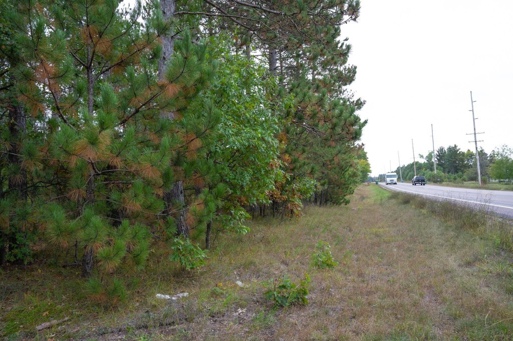 Picture 36