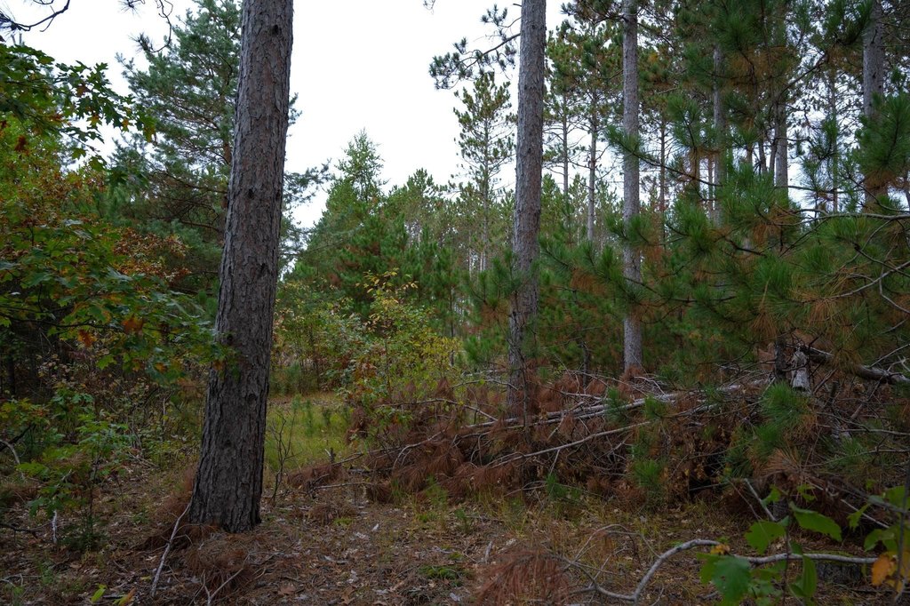 Picture 11