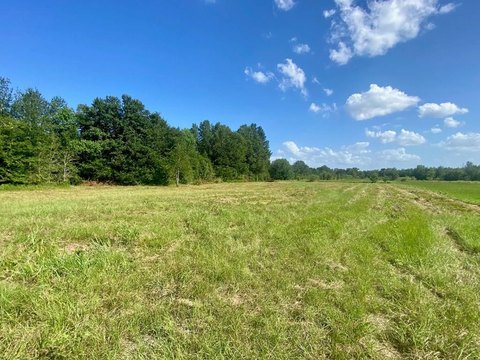 Residential Lot in Crockett, TX