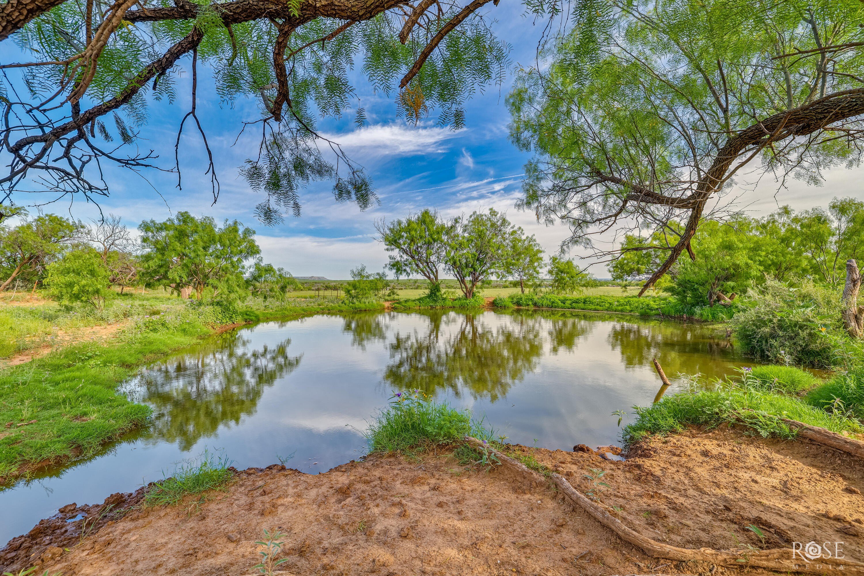 Robert Lee Ranch Land For Lease