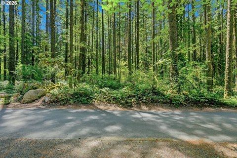 Land, Rhododendron, OR