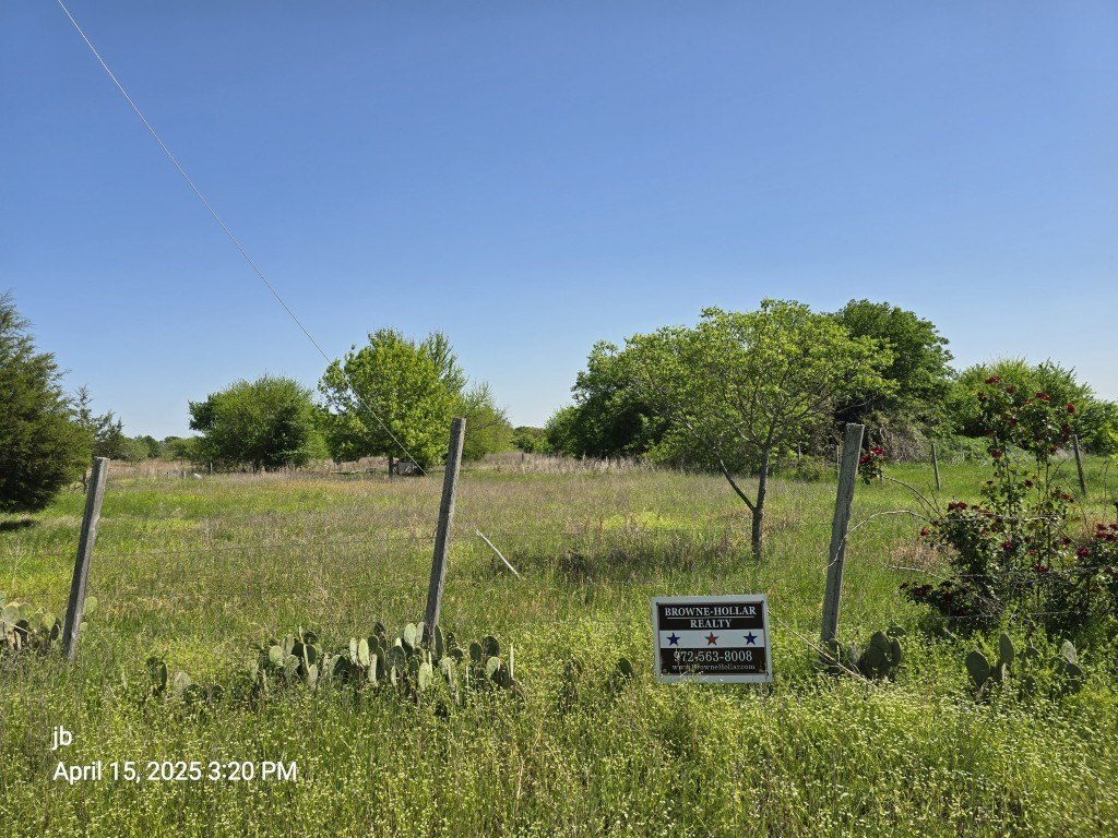 Picture 3