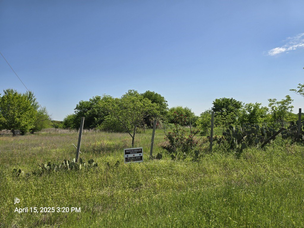 Picture 4