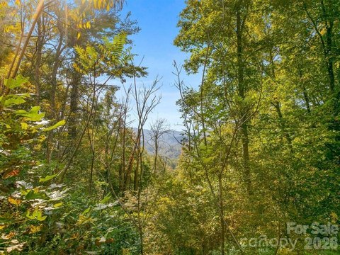 Land, Marshall, NC