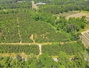 Land, North Augusta, SC