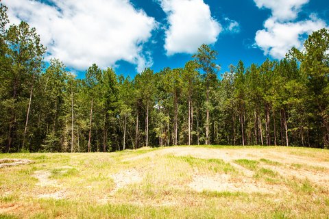 Acre Lot in Sumter Woods