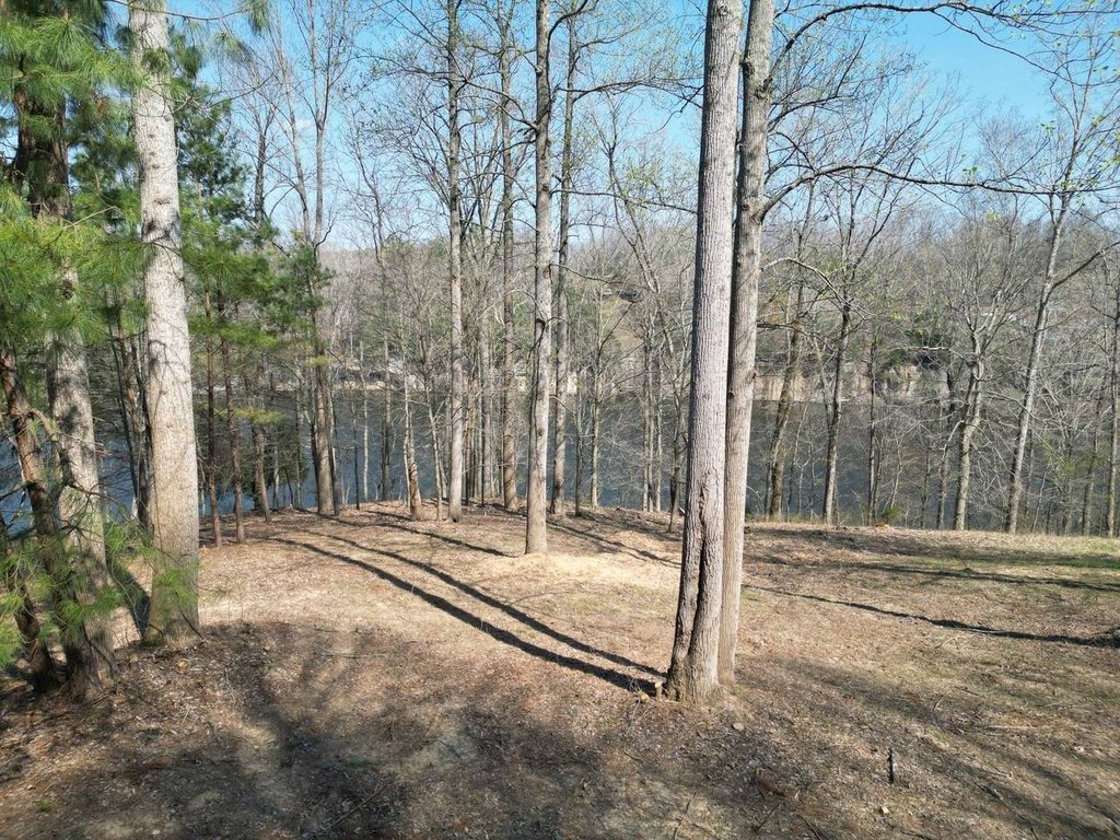 Picture 7