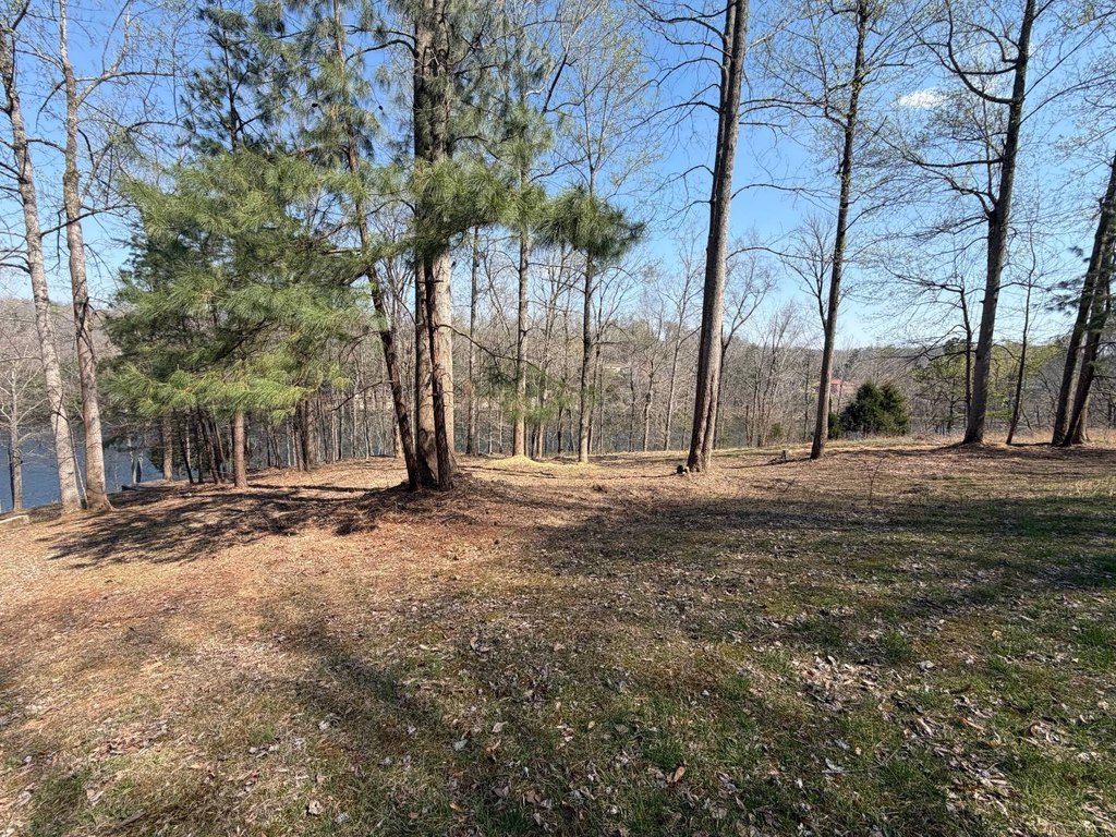 Picture 8