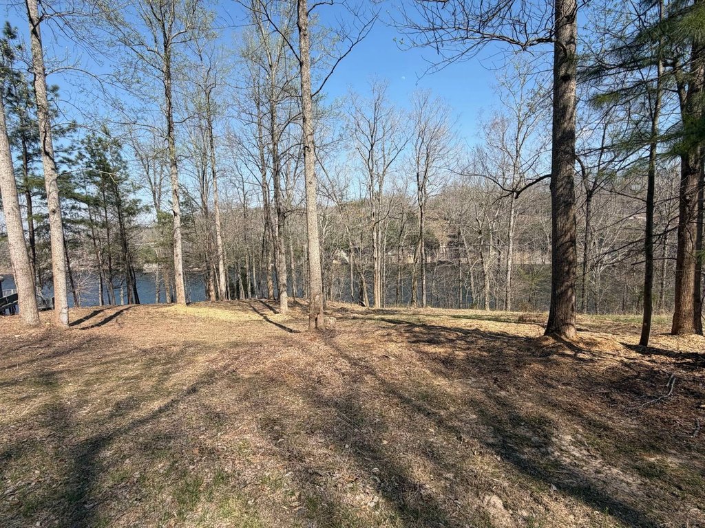 Picture 5