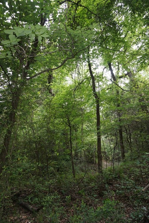 Picture 8