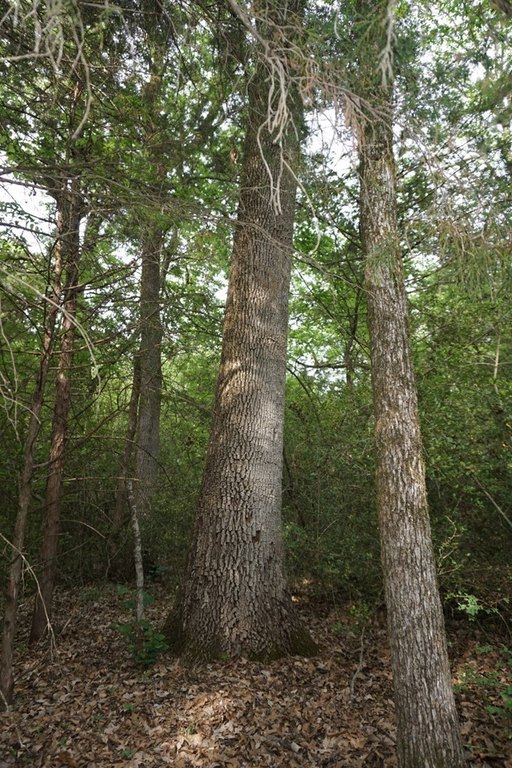 Picture 18