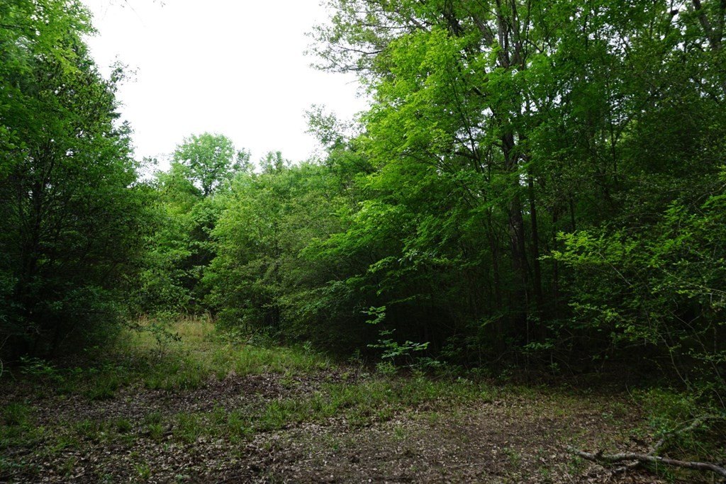Picture 20