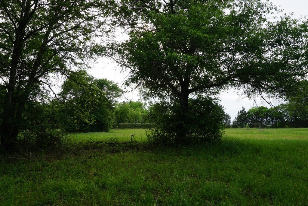 Picture 29