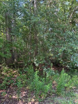LAND - Carrollton, GA