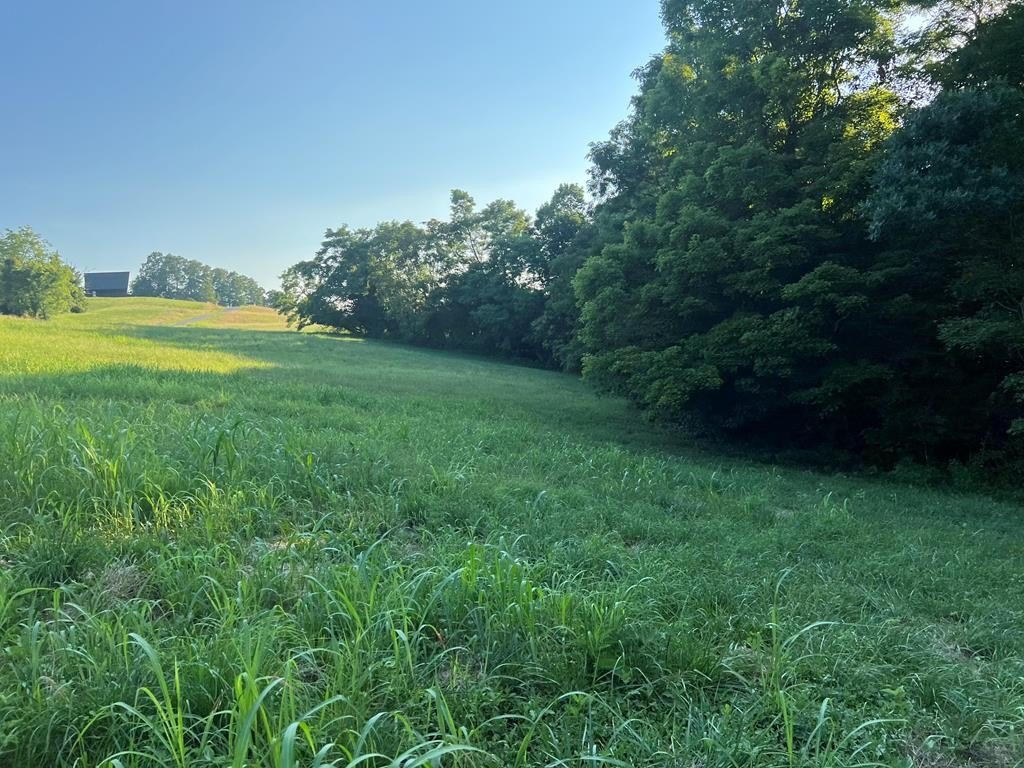 Byrdstown Land with Lake Views