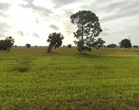 Residential Lot in Rotonda Meadows