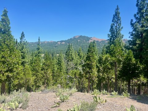 Grizzly Ranch Homesite Opportunity