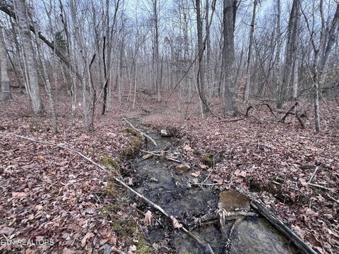 5.16 Acre Wooded Land