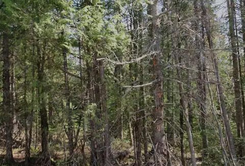 Lakeshore Drive Land Opportunity