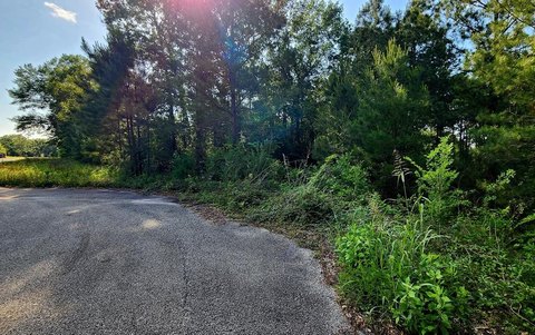 Lufkin Wooded Residential Lot