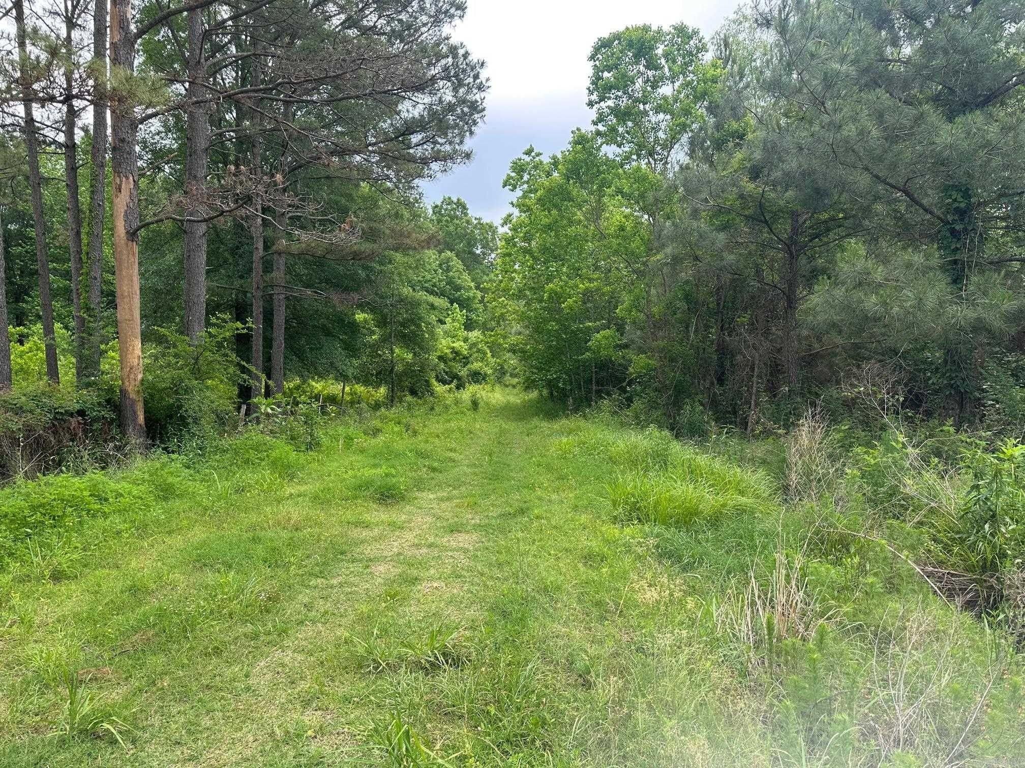 Fountain Hill Hunting/Timber Land