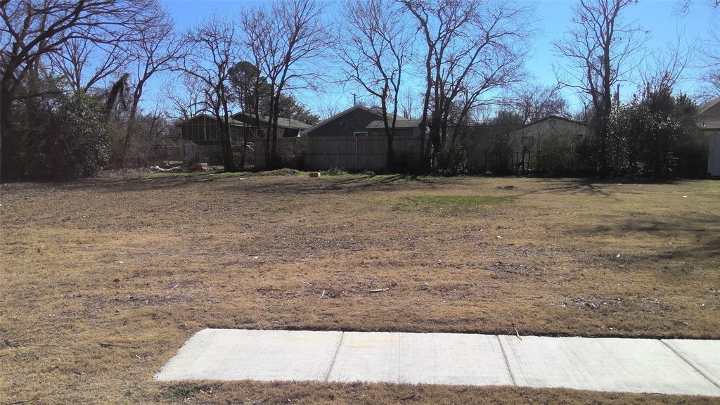 Picture 3