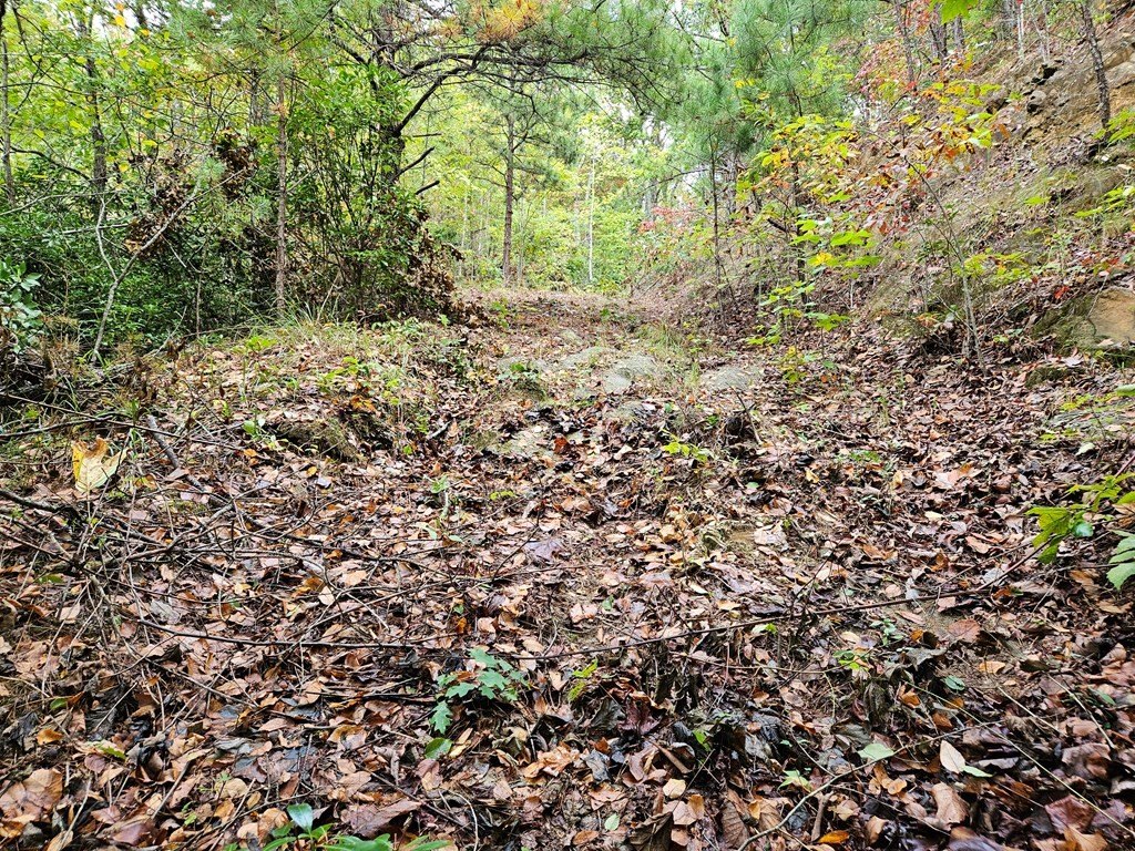Picture 19