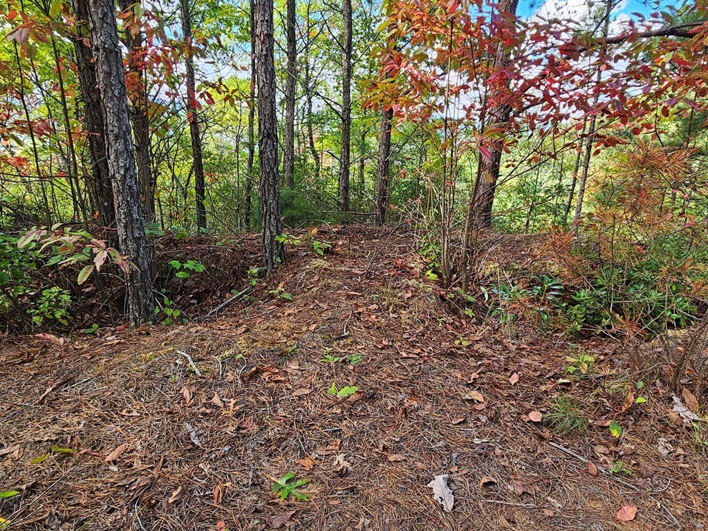 Picture 4